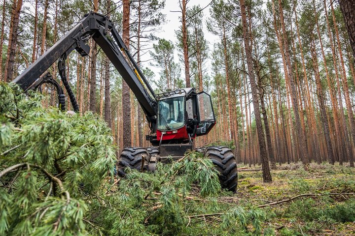 Miške dirba medžių traukimo technika