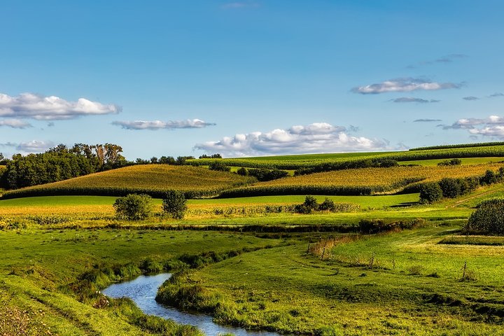 Paviršiniai vandenys