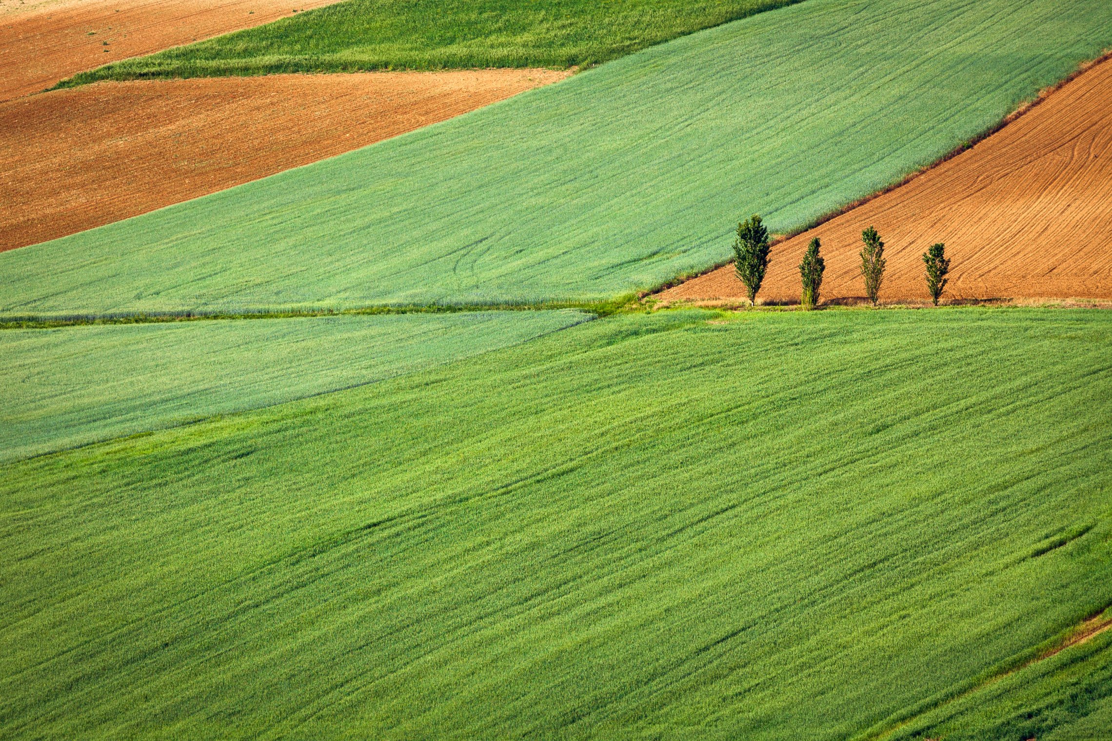 Tvarkingi pasėlių laukai iš aukštai