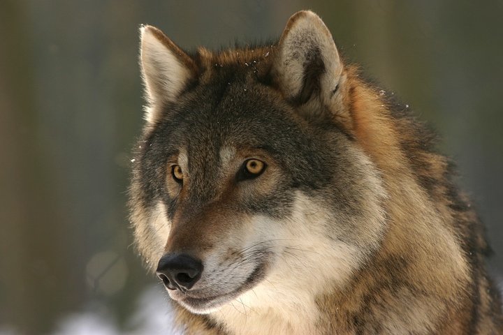 346