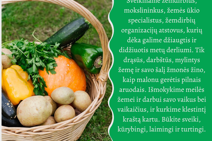 Su derliaus diena sveikinantis atvirukas