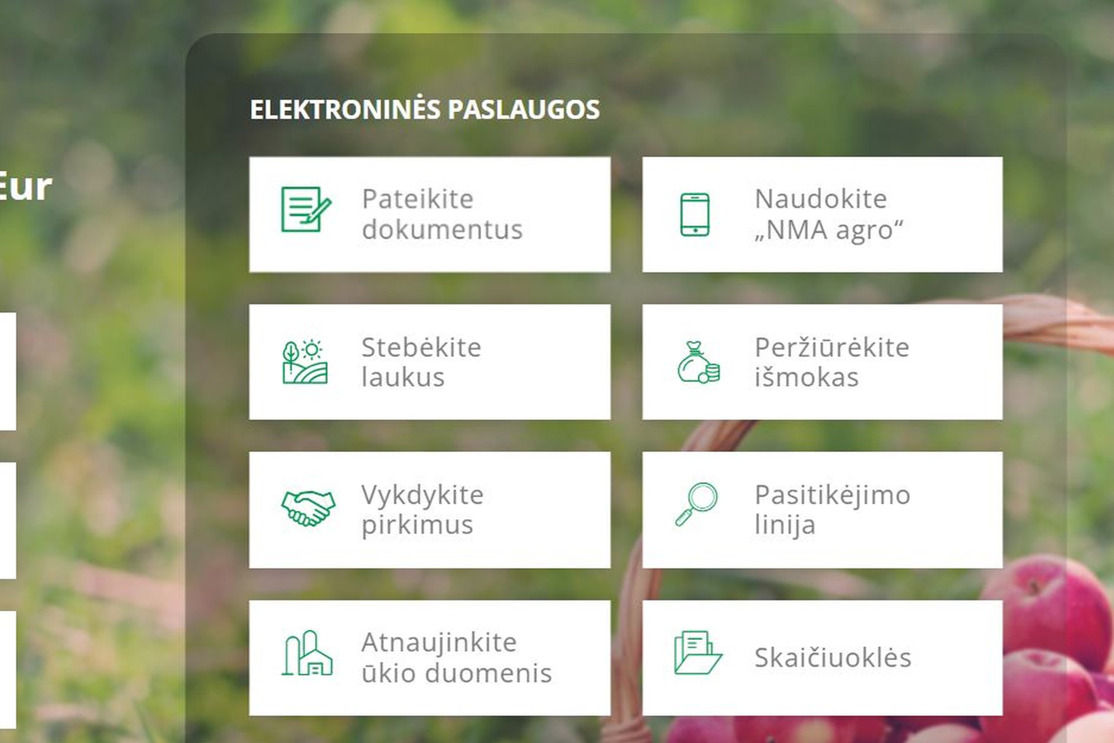 Iliustracija