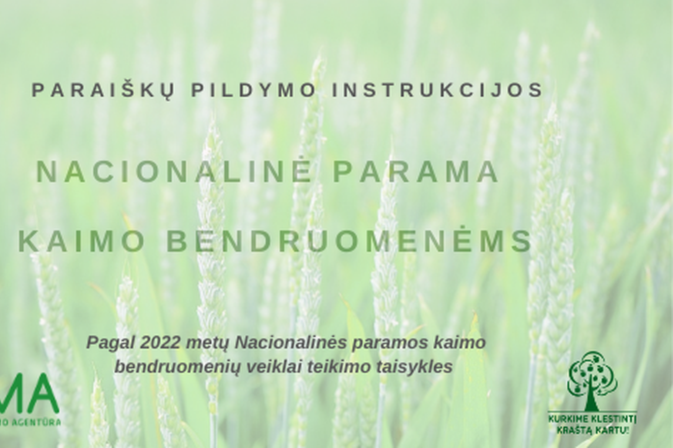 Vaizdo instrukcijos antraštė
