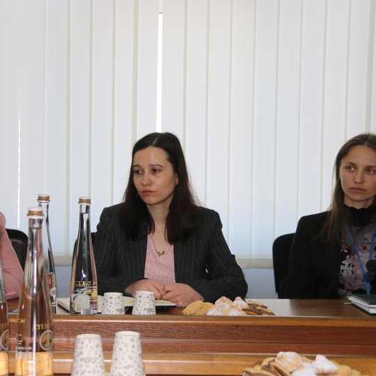 Iliustracija