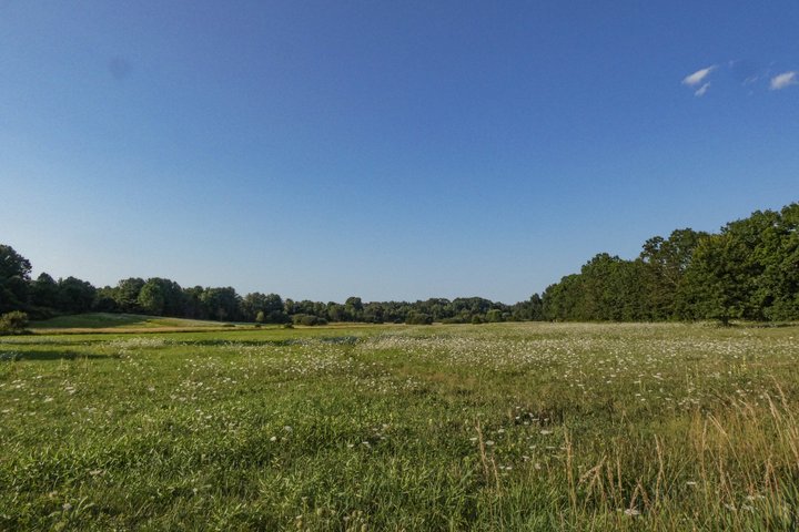 Pieva