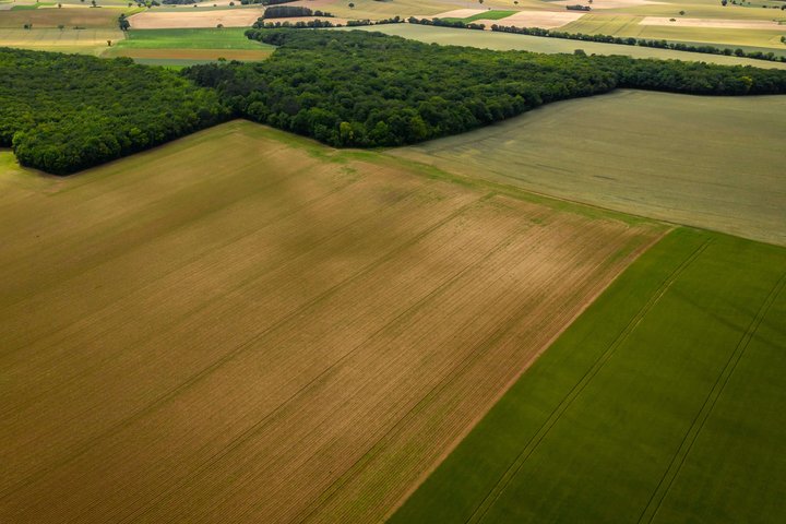 Žali laukai iš paukščio skrydžio