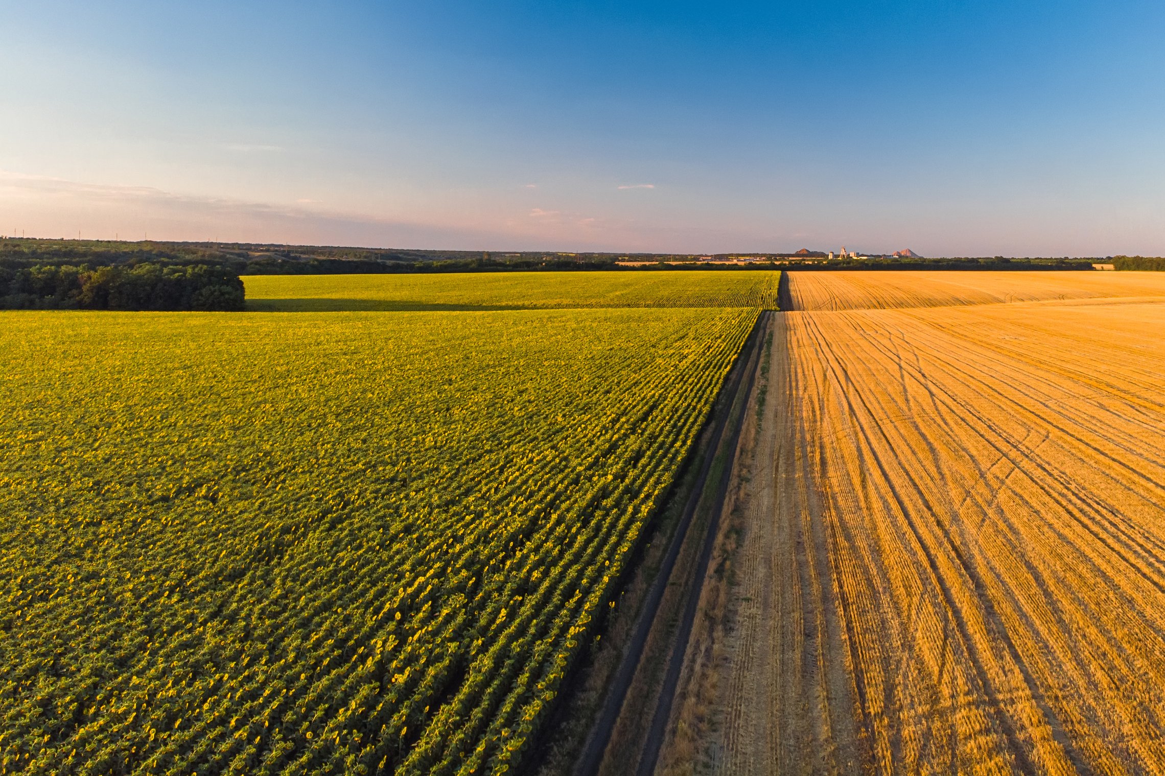 Laukai iš paukščio skrydžio
