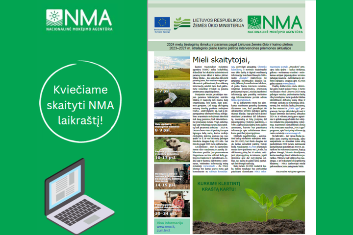 Laikraščio maketo nuotrauka