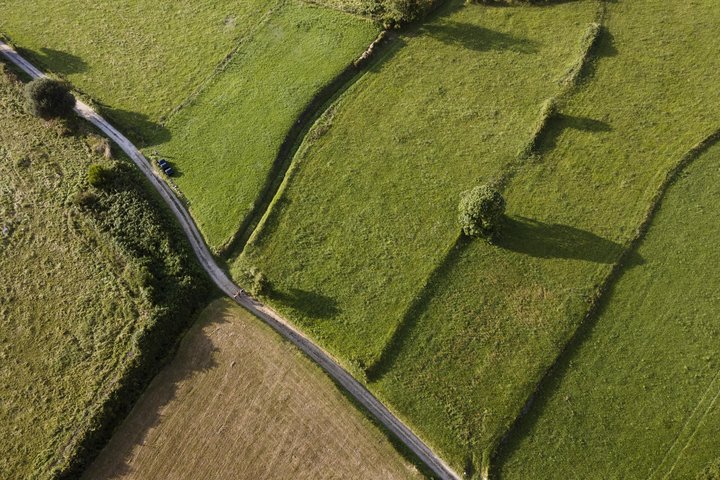 Žali laukai iš paukščio skrydžio