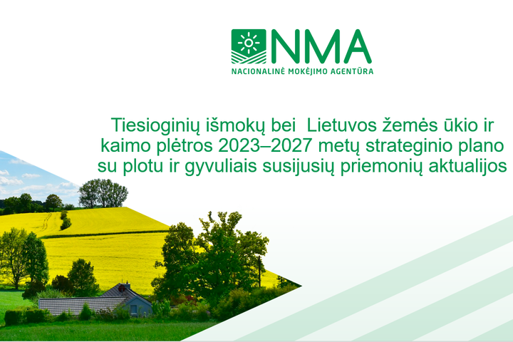 Konferencijos pavadinimo iliustracija