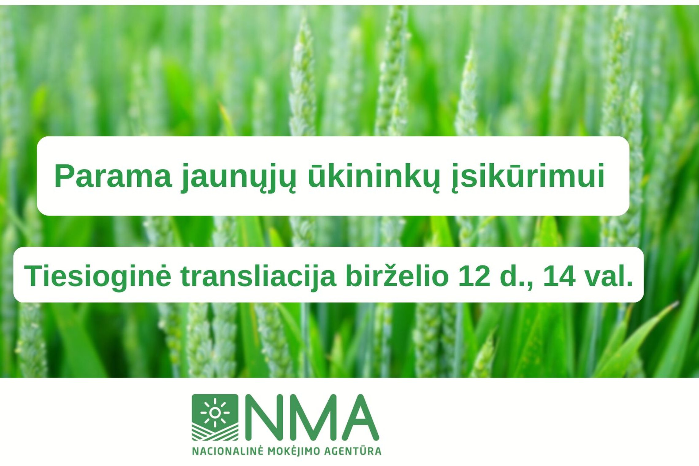Transliaciją pristatantis užrašas žaliame fone