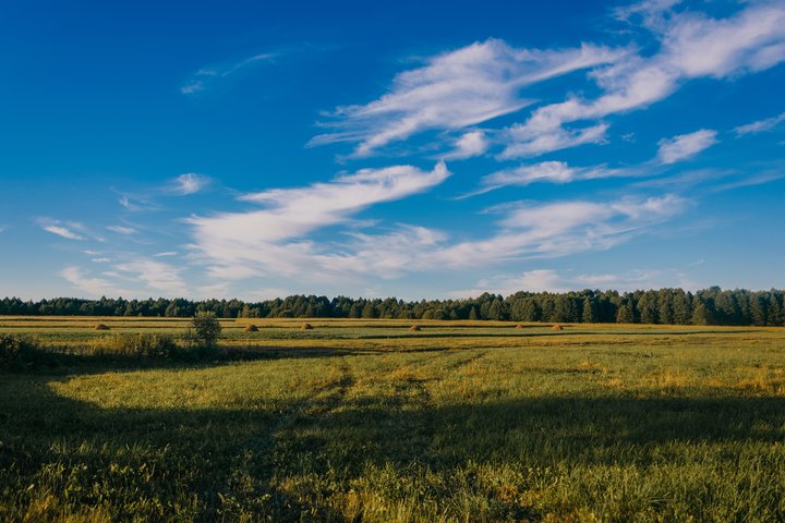 Giedra saulėta diena laukuose