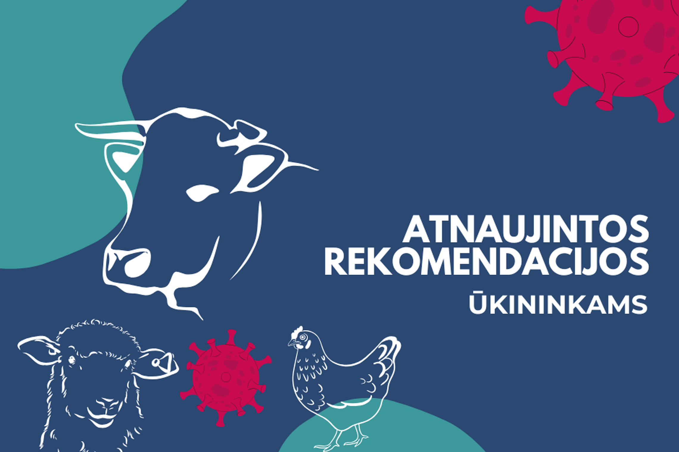 VMVT nuotrauka