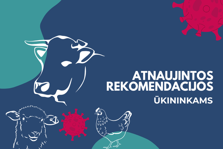 VMVT nuotrauka