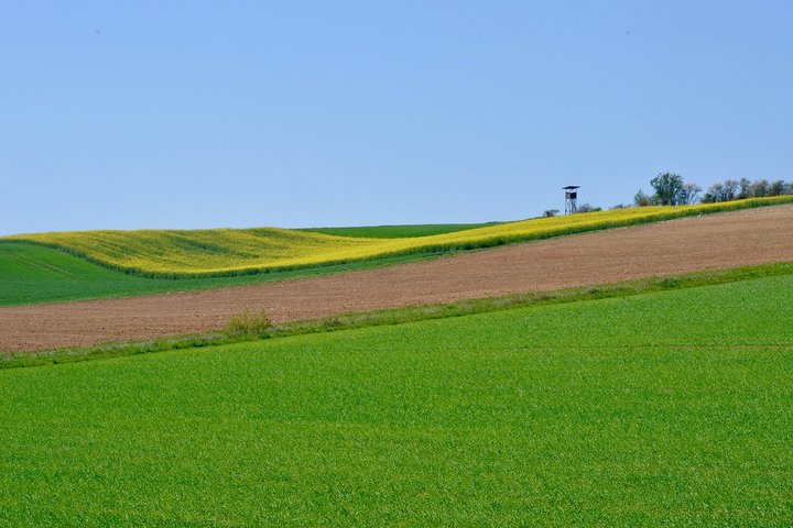 Laukai