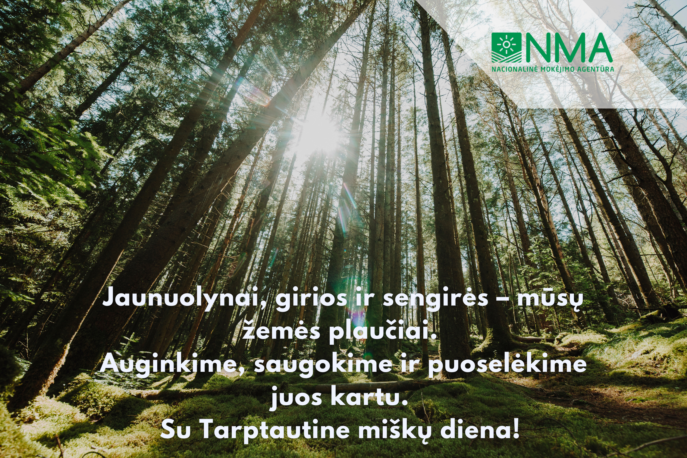 Atvirukas Miškininko dienos proga