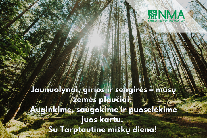 Atvirukas Miškininko dienos proga