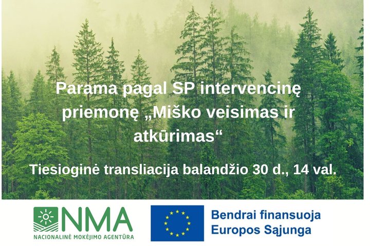 Transliacijos pavadinimo užrašas miško fone