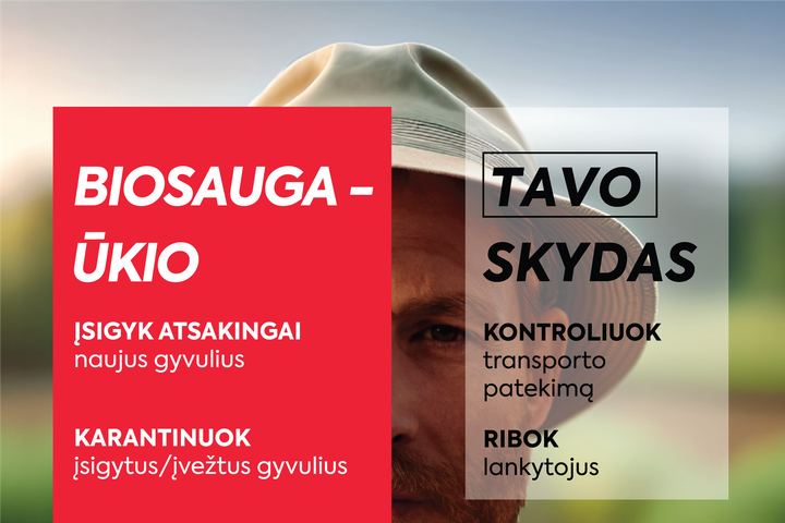 Naujieną iliustruojanti nuotrauka