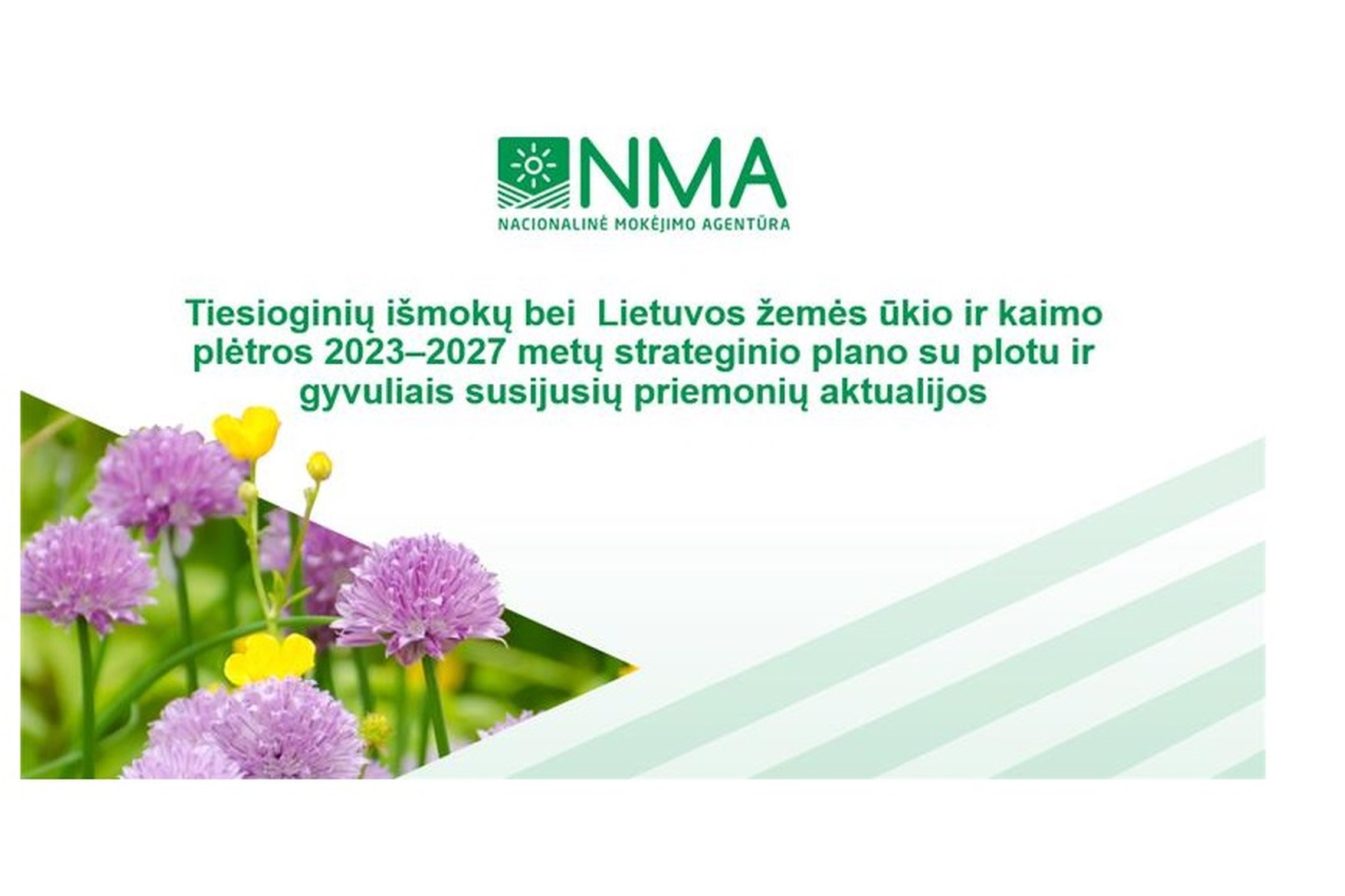 Konferencijos pavadinimo iliustracija