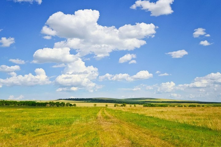 Laukai vasarą