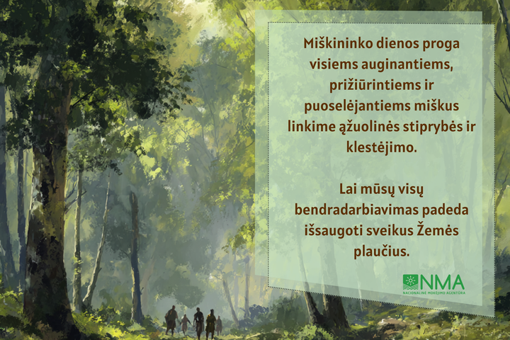 Sveikinimas Miškininko dienos proga