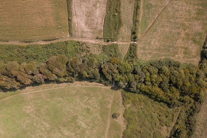 Laukų vaizdas iš palydovo